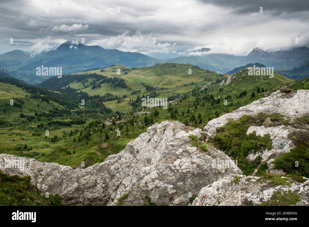 white rocks, pre-Alpine peaks in the clouds, meadows and individual trees Stock Photo