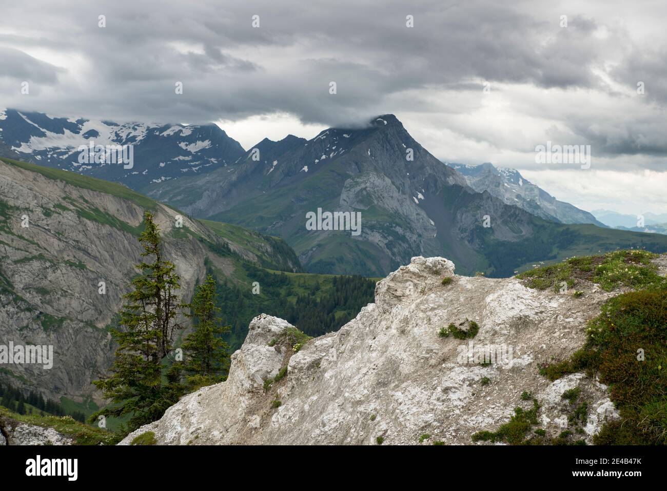 white rocks with fir trees, in the background foothills of the Alps with an overcast sky Stock Photo