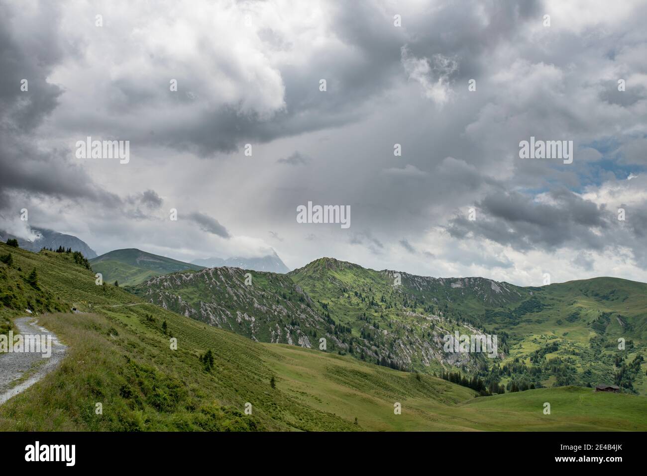 Pre-Alps, lonely hiking trail, cloudy and rainy Stock Photo