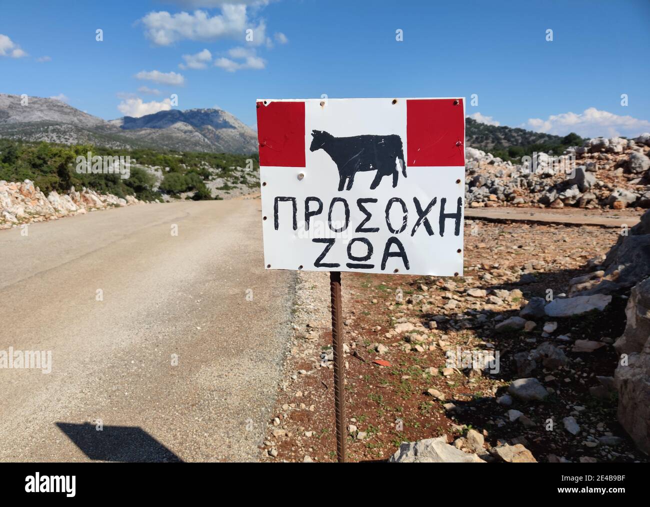 In the mountainous landscape, a sign warns of cows on the road between Mitikas and Astakos, central Greece. Stock Photo