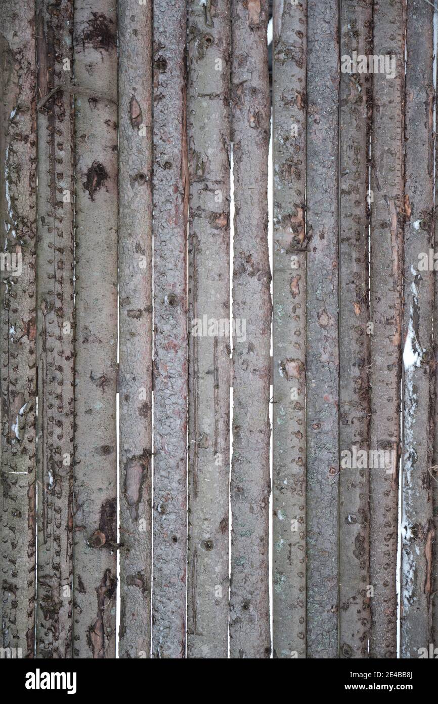 Old wooden fence background texture close up. High quality photo Stock ...