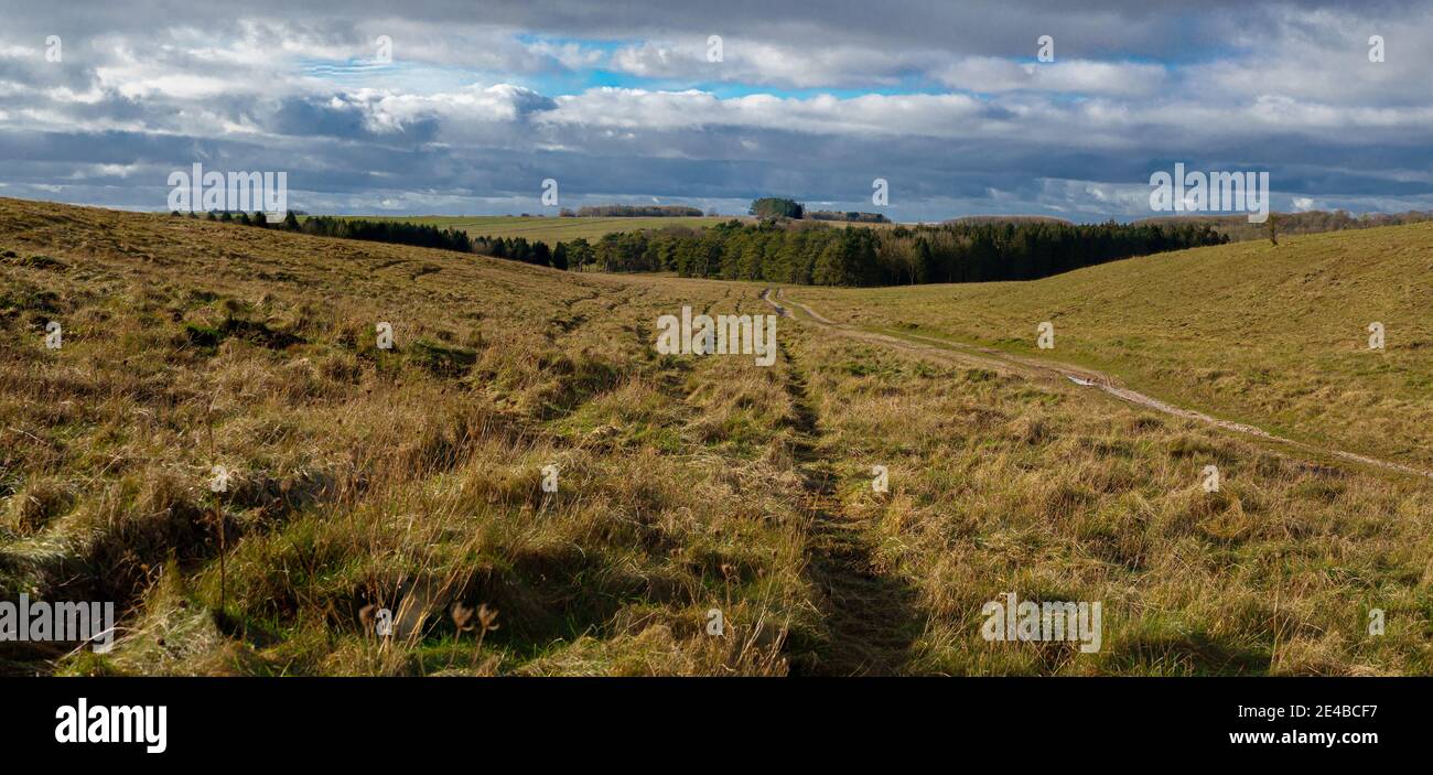 Sidehill scenic view of woodland on a hillside Stock Photo - Alamy