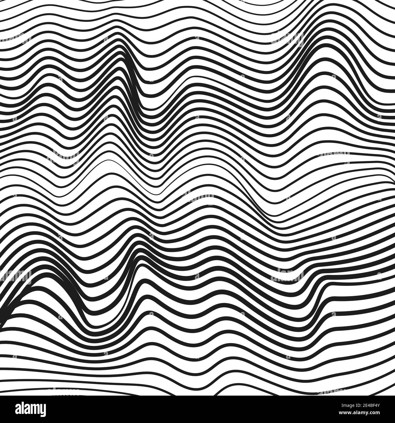 Rippled surface. Abstract black, white background. Vector squiggle, subtle curves. Monochrome waves. Striped waving pattern. line art design. EPS10 Stock Vector
