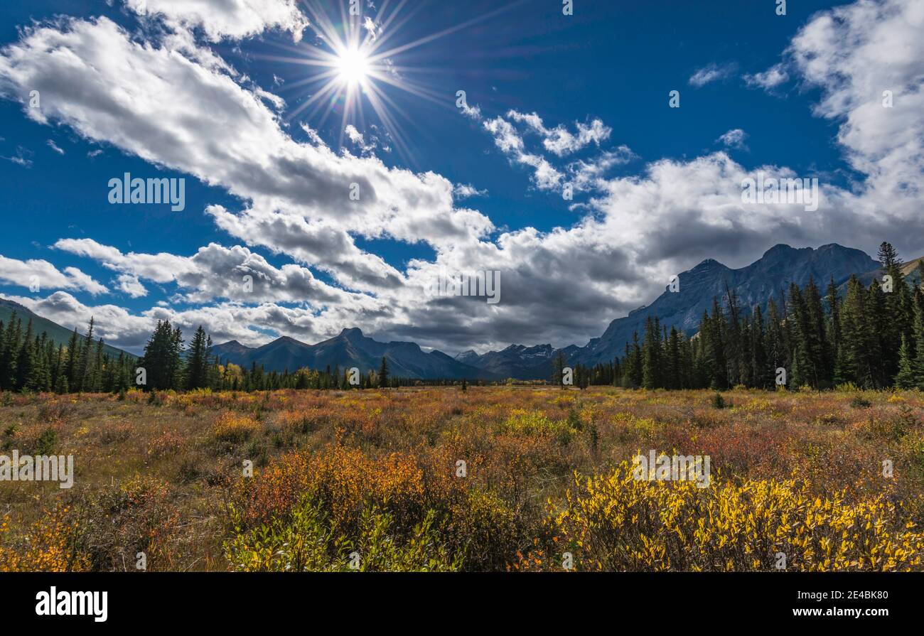 Alpine meadow in autumn, Mt. Kidd, The Wedge, Kananaskis Country, Alberta, Canada Stock Photo