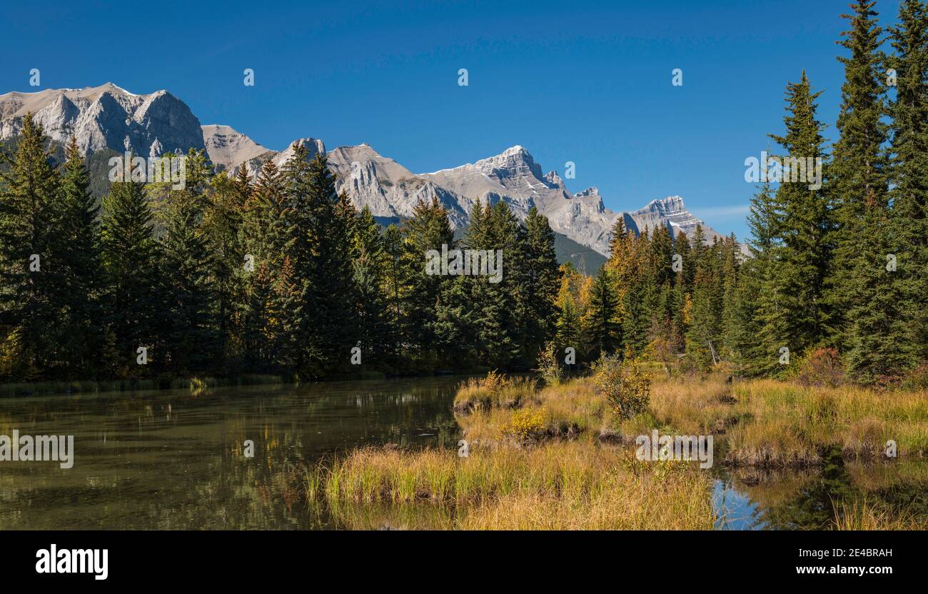 View of the Spring Creek Pond, Mount Rundle, Canmore, Alberta, Canada Stock Photo