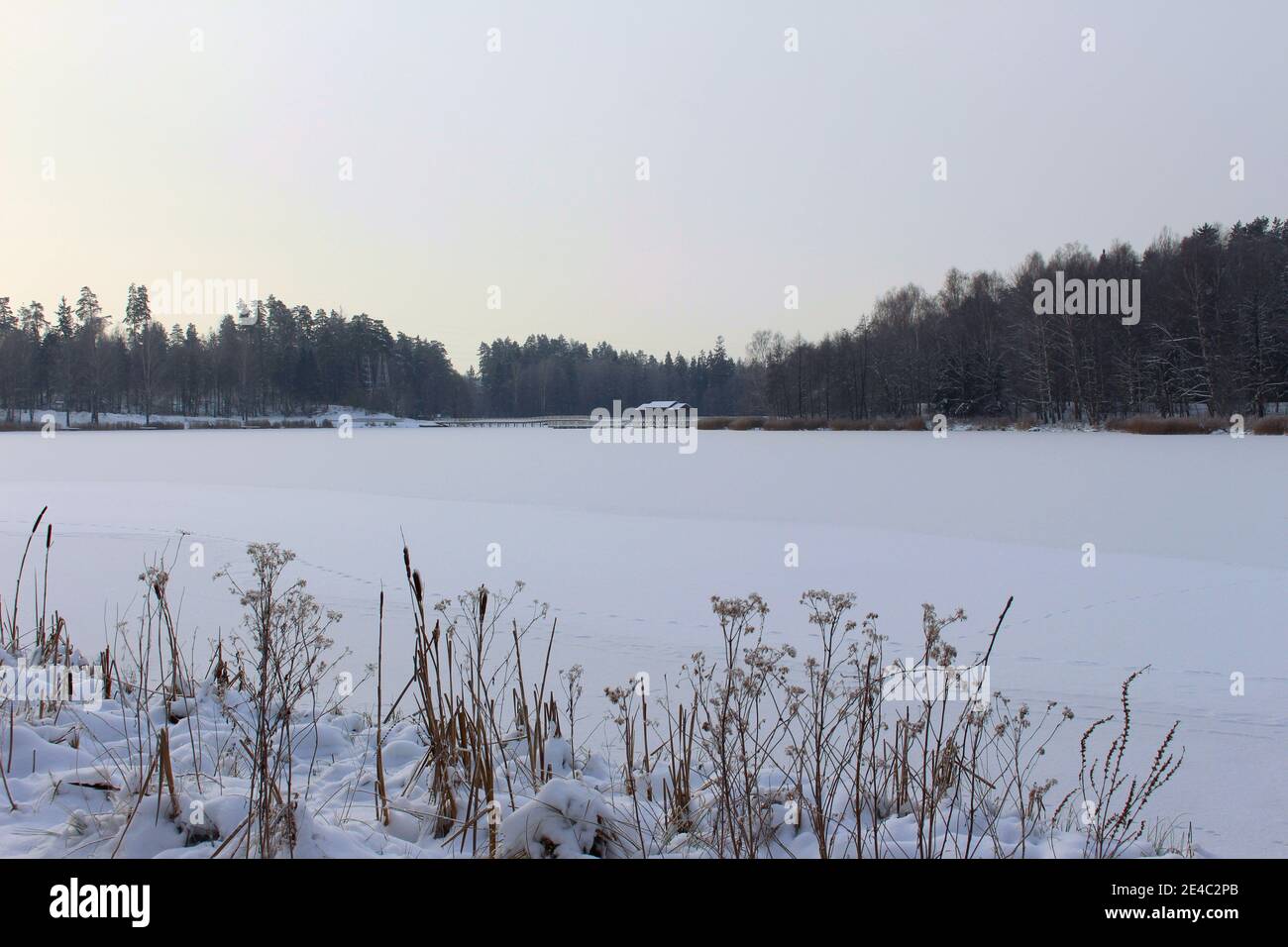 Frozen lake at Czarna Białostocka. Winter time Stock Photo