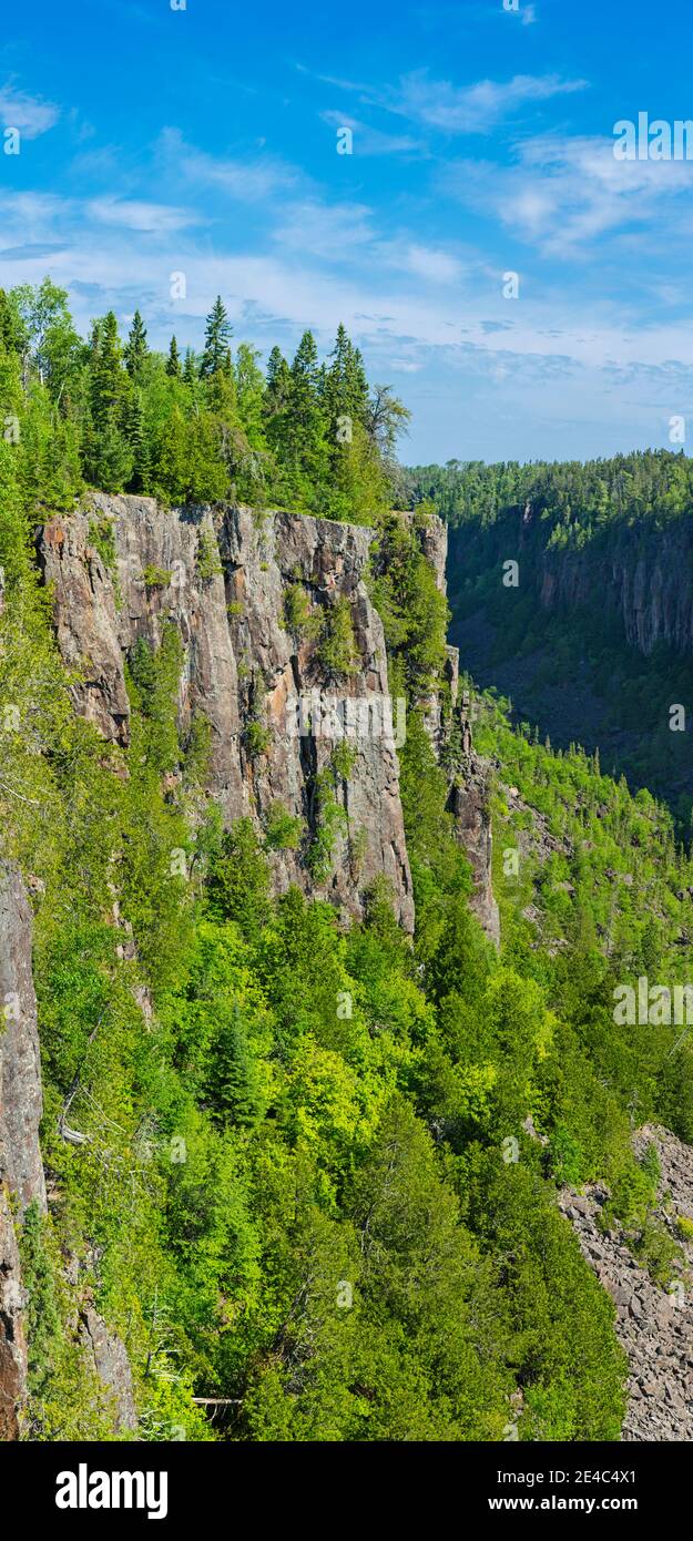 Trees on mountain, Ouimet Canyon, Ouimet Canyon Provincial Park, Ontario, Canada Stock Photo