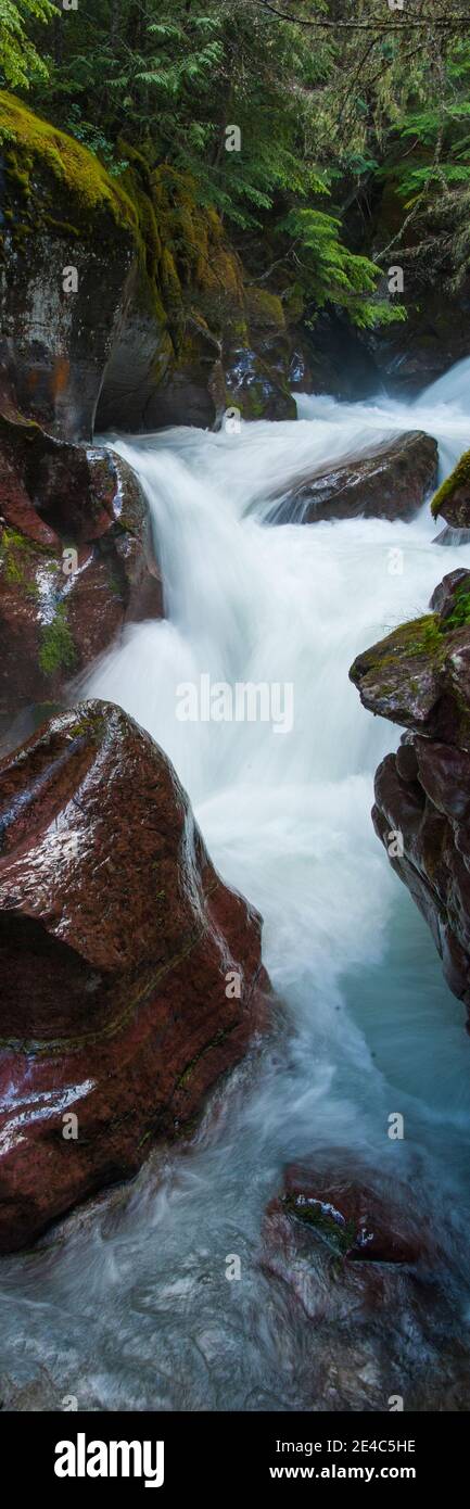 Elevated view of creek flowing through rocks, Avalanche Creek, US Glacier National Park, Montana, USA Stock Photo