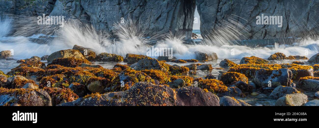 Waves breaking on rocks, Harris Beach State Park, Samuel H. Boardman State Scenic Corridor, Oregon, USA Stock Photo