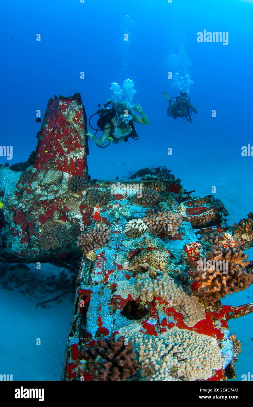 Divers (MR) above the tail section of a WW II Corsair fighter plane off South-East Oahu, Hawaii. Stock Photo