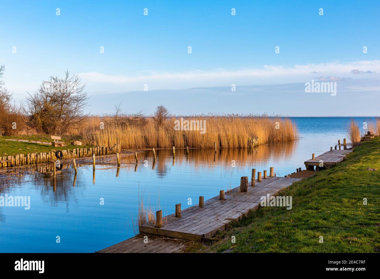 The natural harbor of Stolpe on the island Usedom in the baltic sea. Stock Photo