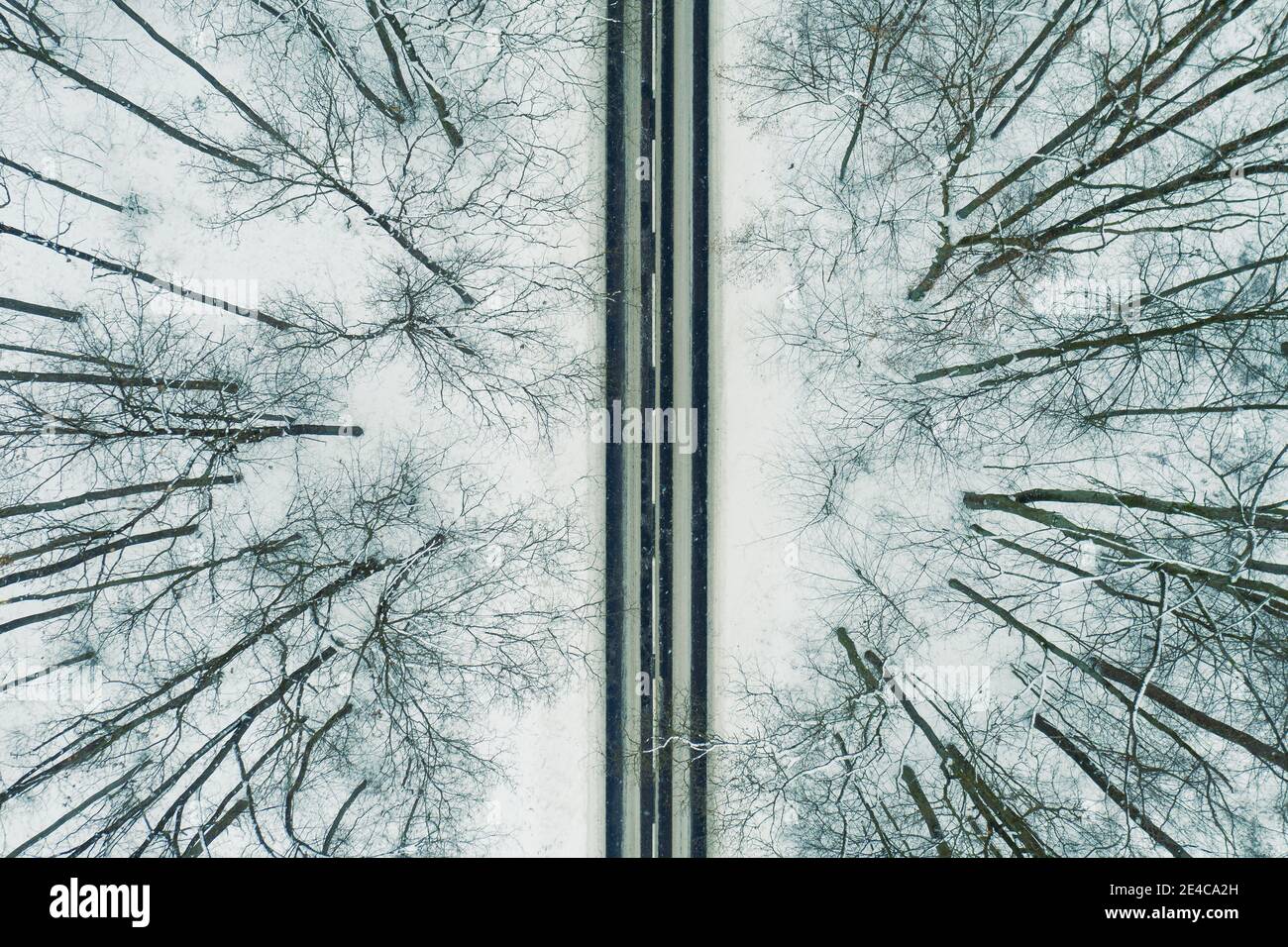 Road through winter forest Stock Photo - Alamy