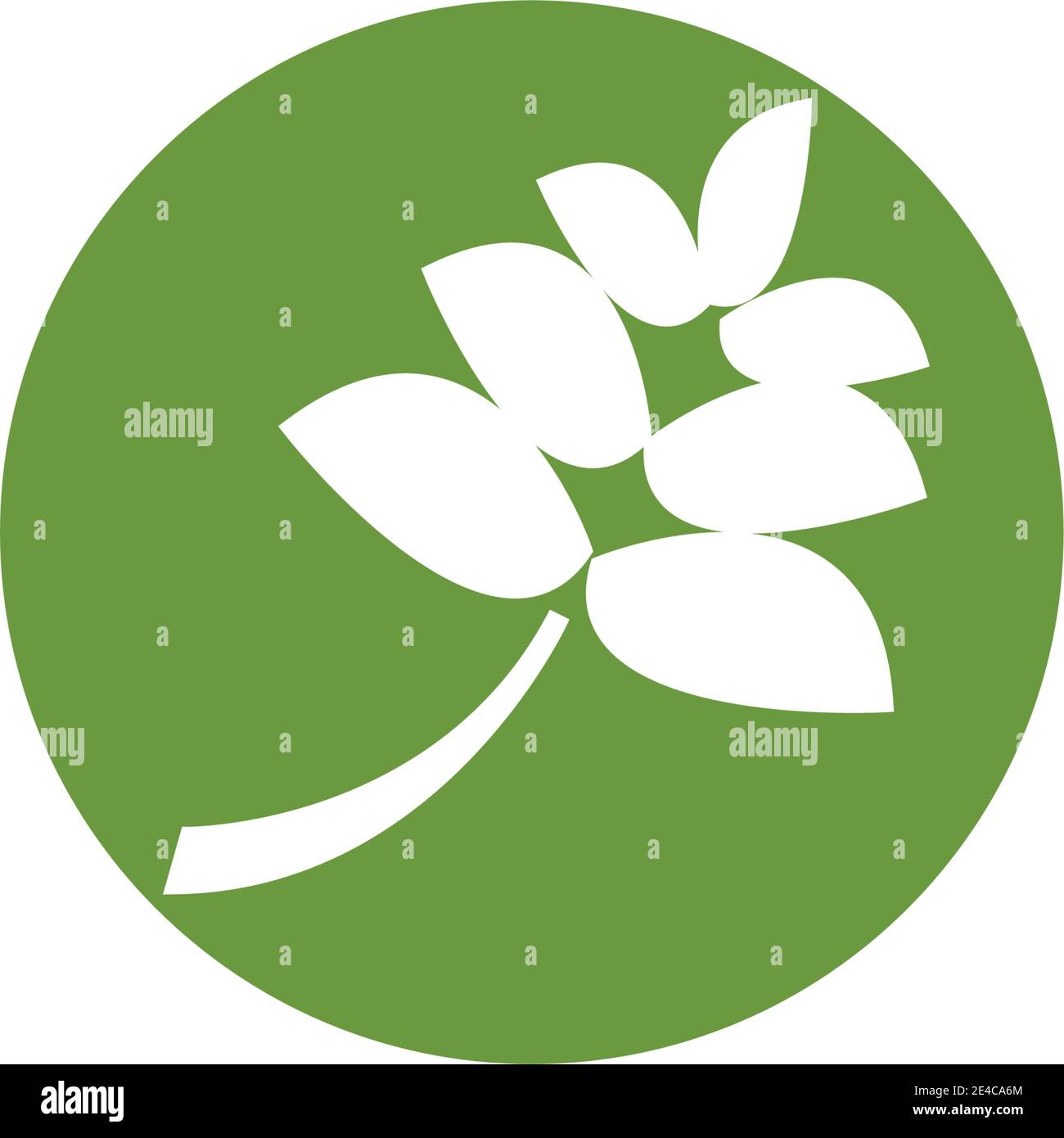 green leaf logo vector Stock Vector Image & Art - Alamy