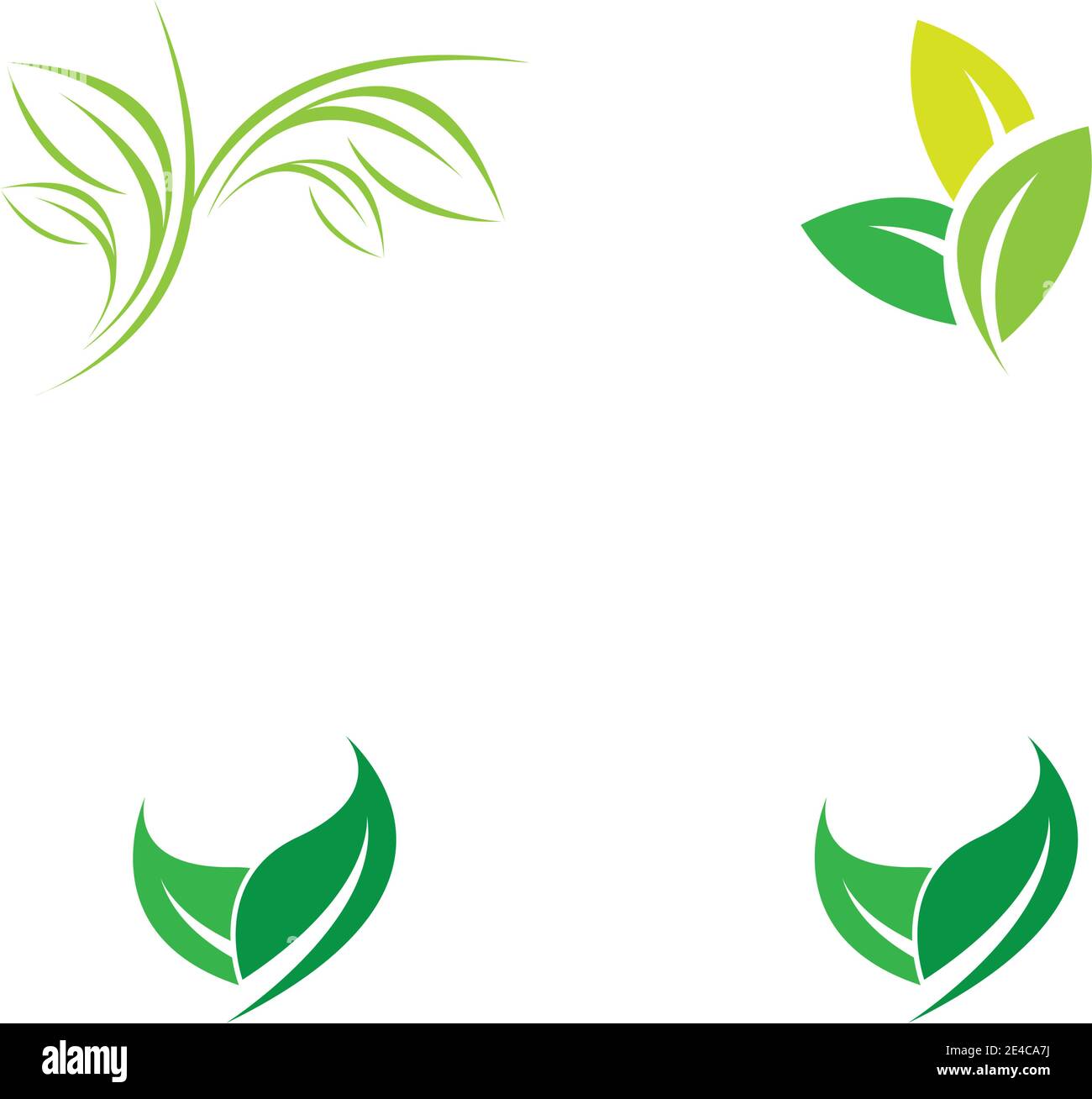 green leaf logo vector Stock Vector
