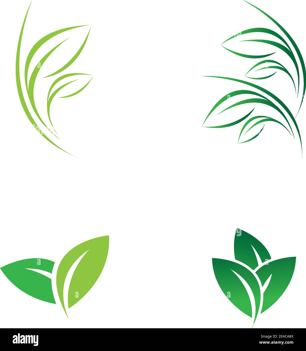 green leaf logo vector Stock Vector