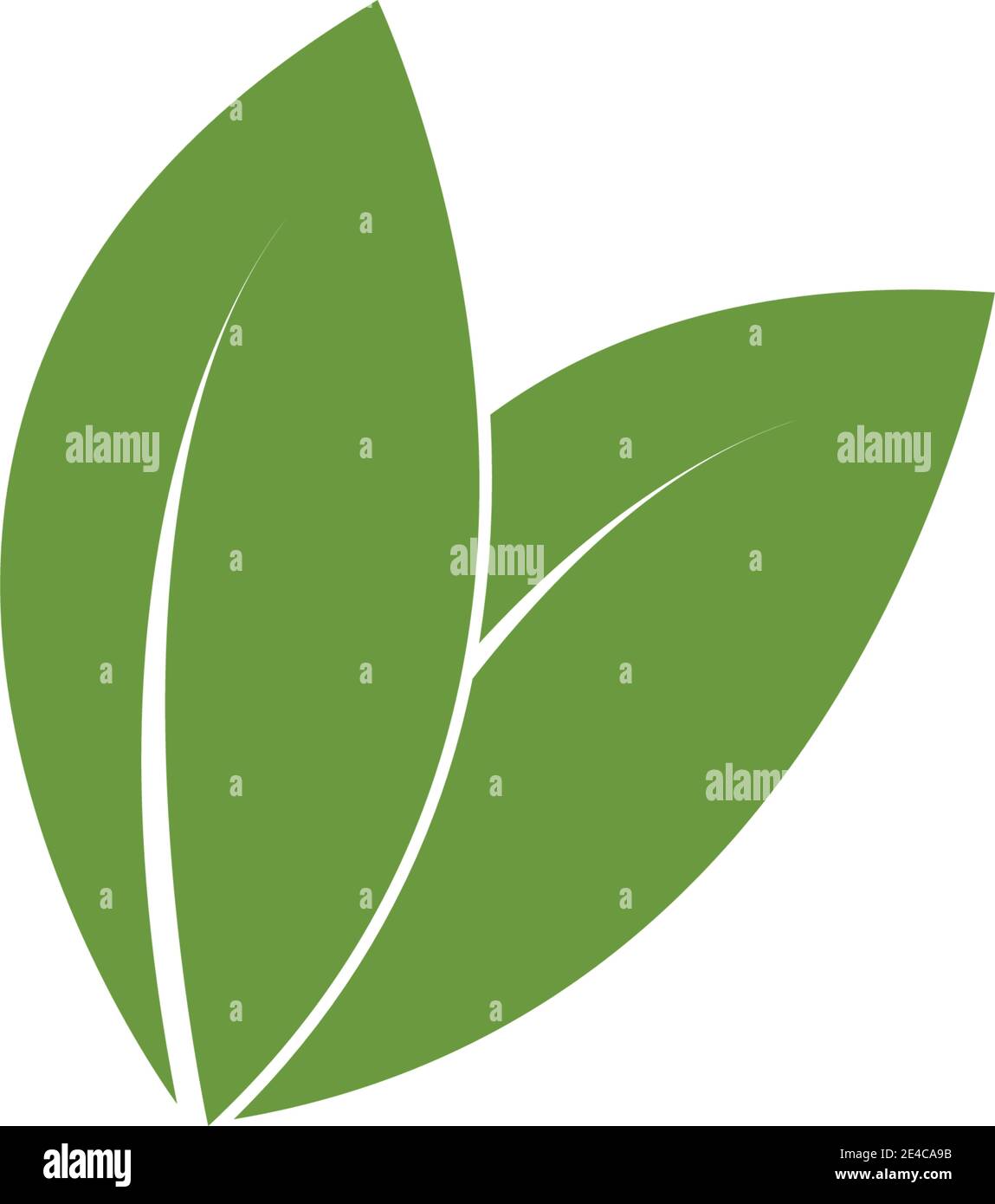 green leaf logo vector Stock Vector Image & Art - Alamy