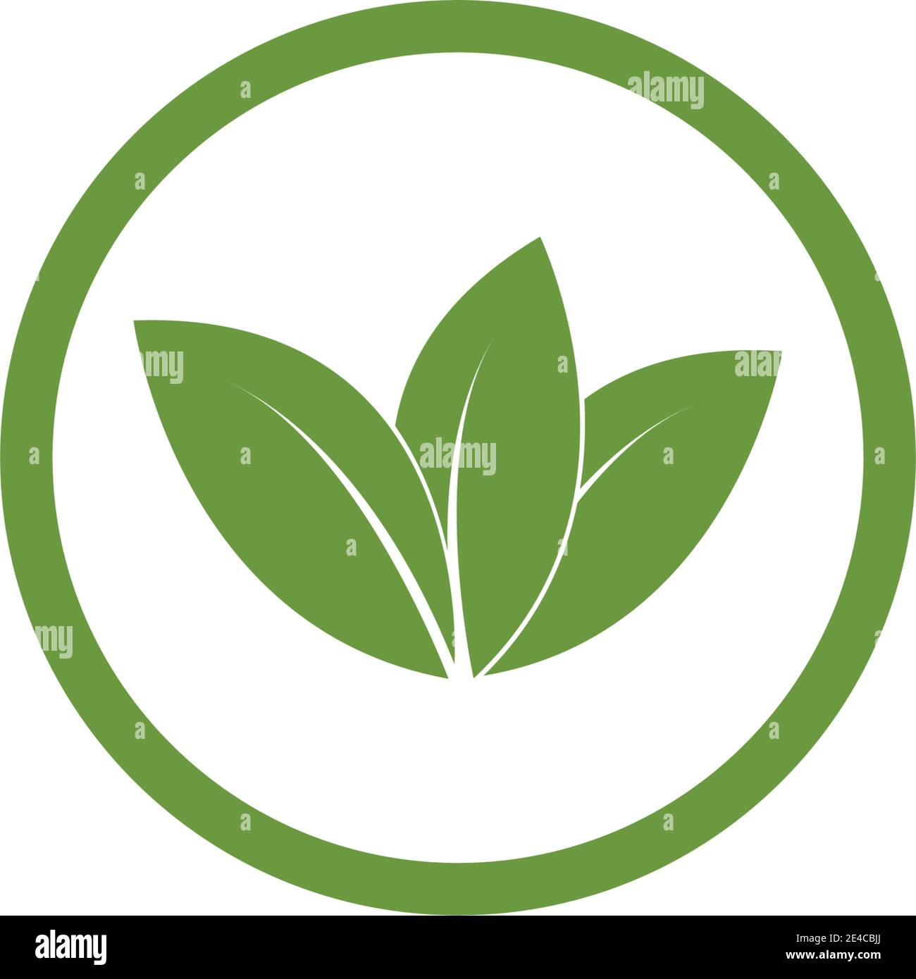 green leaf logo vector Stock Vector Image & Art - Alamy