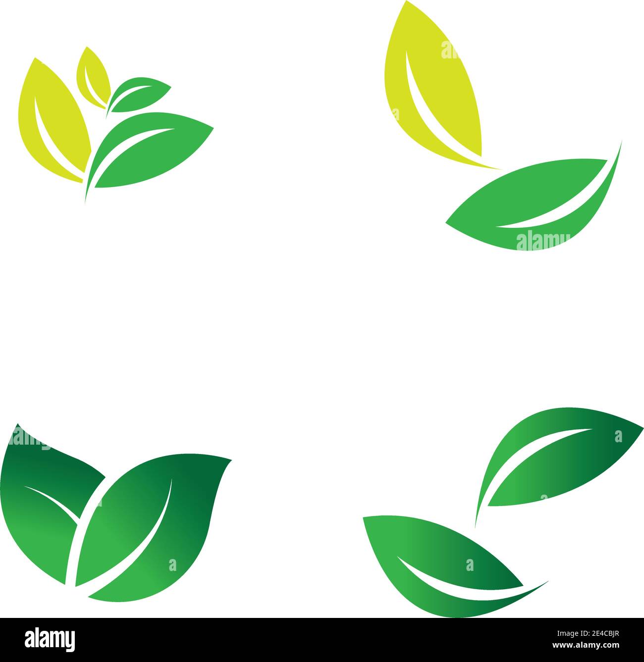green leaf logo vector Stock Vector