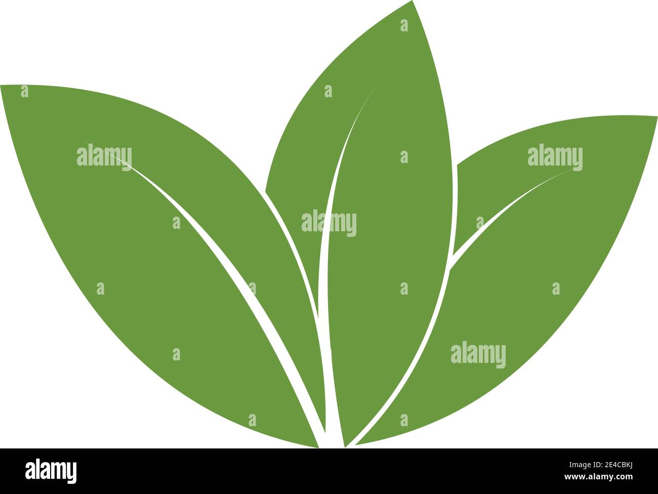 green leaf logo vector Stock Vector Image & Art - Alamy
