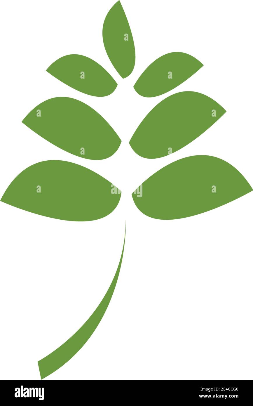 green leaf logo vector Stock Vector Image & Art - Alamy