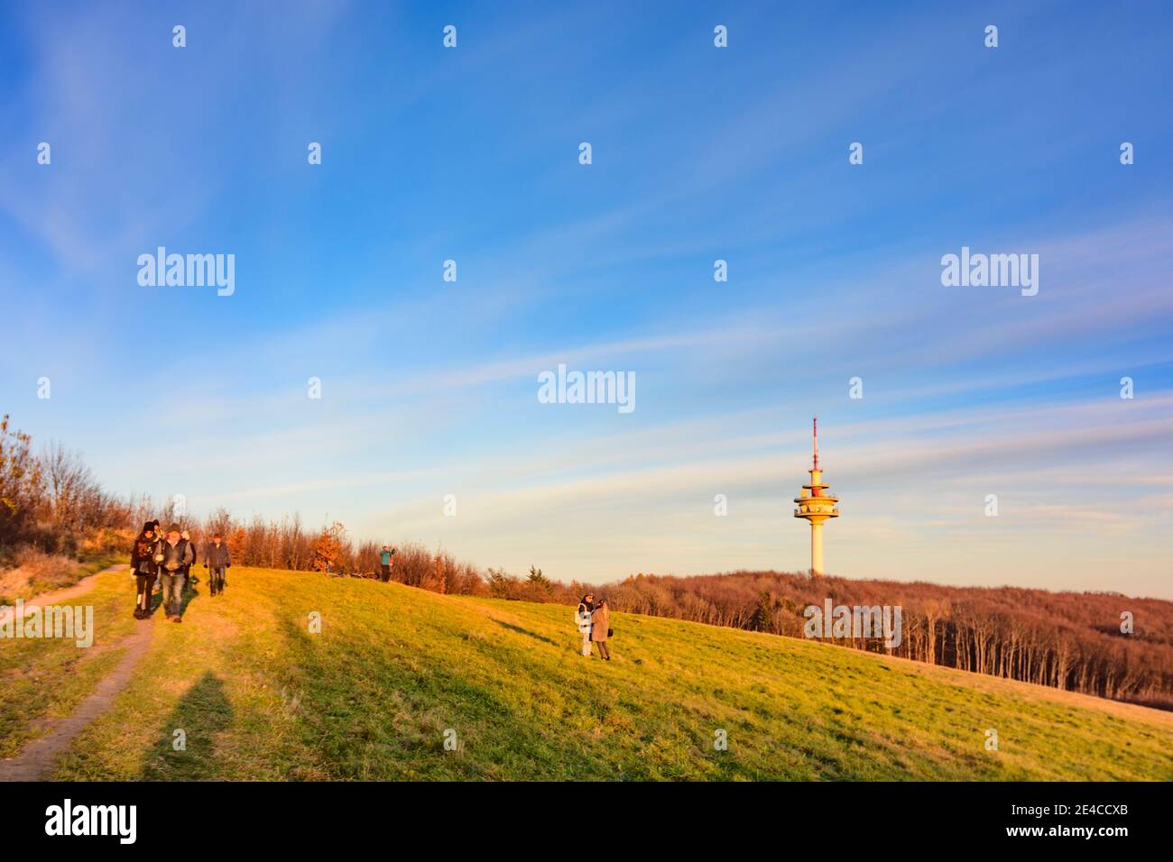 Vienna, meadow Fuchswiese, tower at mountain Exelberg, Wienerwald