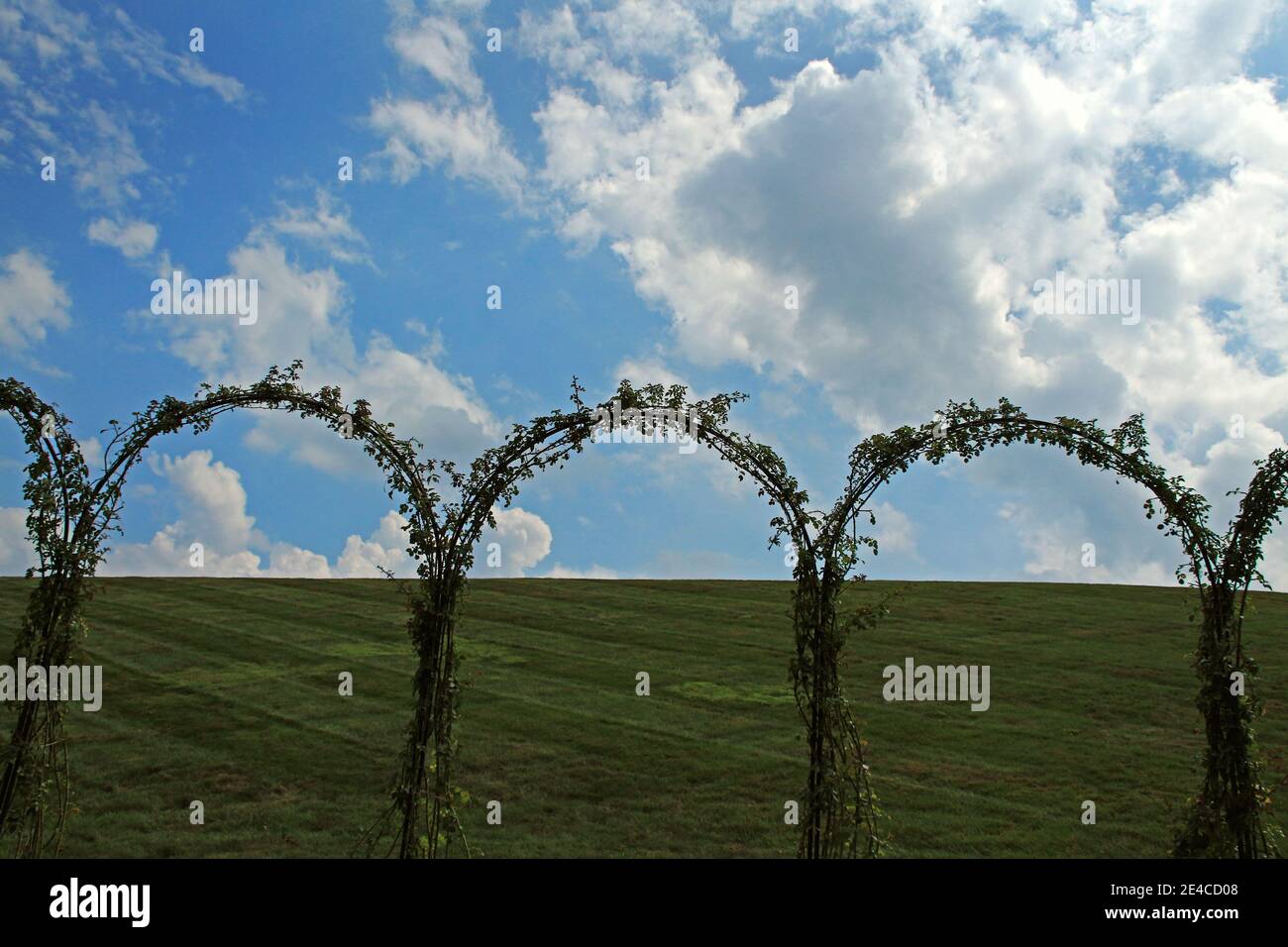 Garden arches against a blue sky with white clouds. Stock Photo