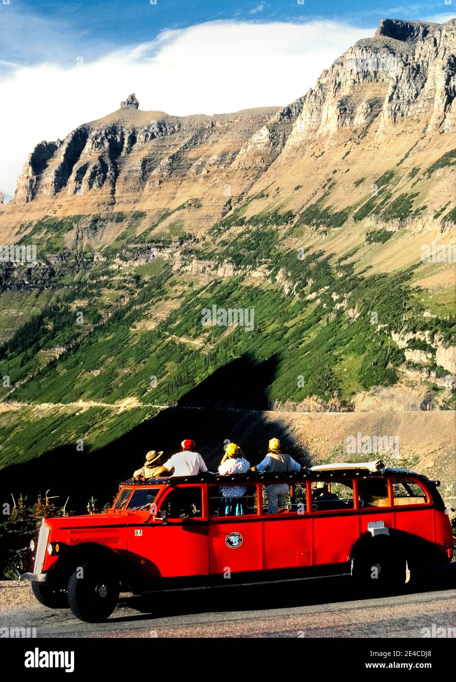 This long 1930s red touring bus features a roll-back canvas rooftop that opens to provide panoramic views of awesome mountain peaks for tourists on scenic excursions along the Going-to-the-Sun Road in Glacier National Park in northwest Montana, USA. The 17-passenger vehicle is among the park’s fleet of 33 identical buses that are known as Red Jammers because their drivers noisily 'jammed' the gears when double-shifting the manual transmissions on the steep mountainous roads. All of those historic White Motor Company No. 706 models have been restored to their original appearance. Stock Photo