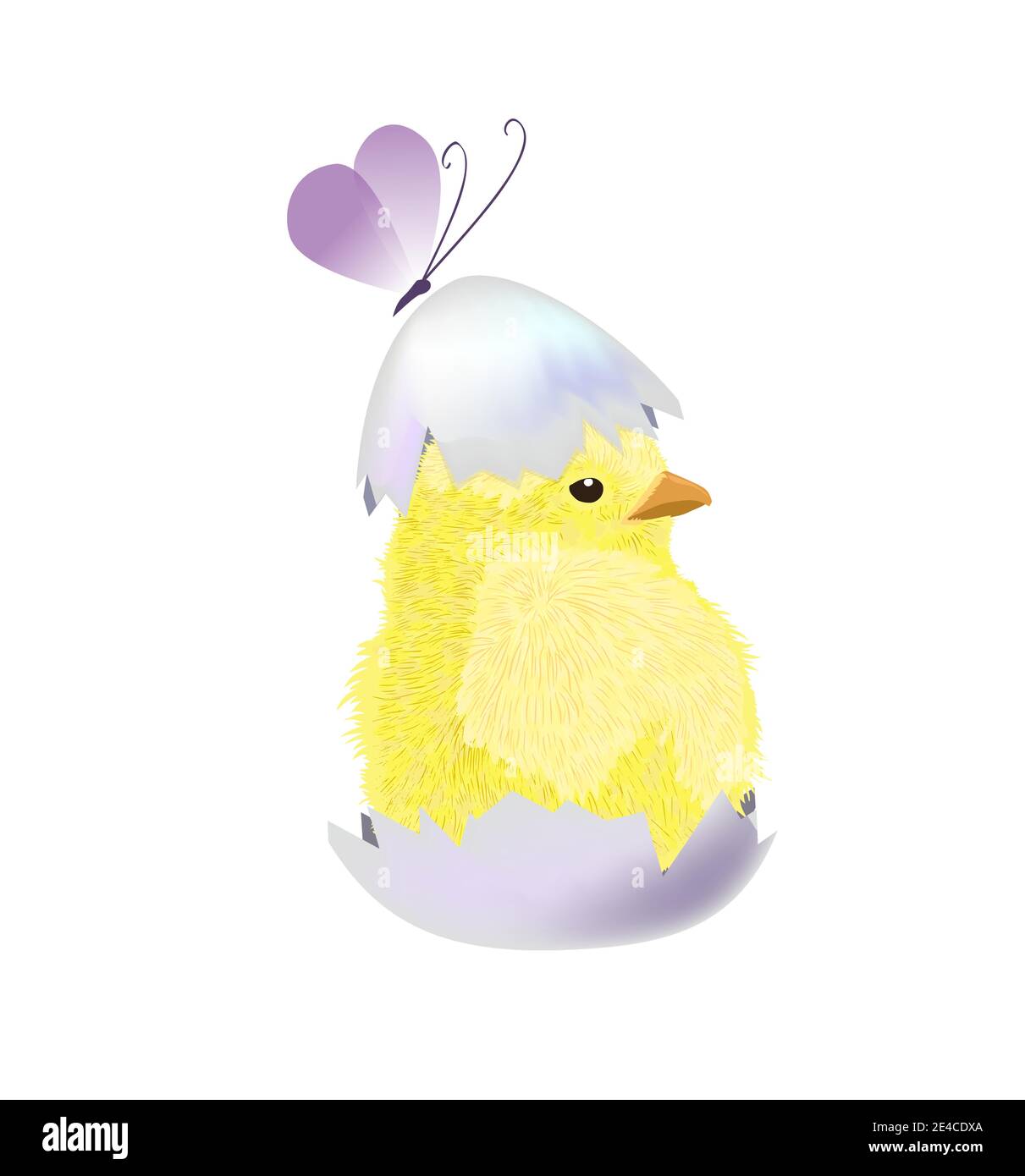 The chicken hatched from the shell. Vector illustration Stock Vector
