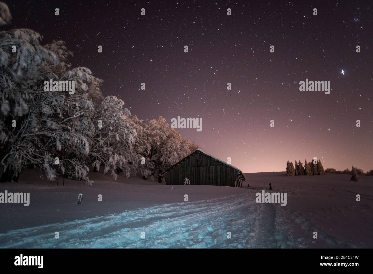 Christmas spirit, freshly snow-covered landscape under the starry sky Stock Photo