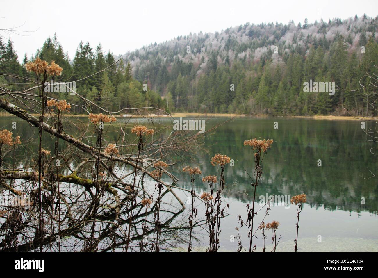 Isar reservoir, Isar nature adventure trail near Krün, circular route, hoar frost, foggy, near Mittenwald, Upper Bavaria, Bavaria, Germany Stock Photo