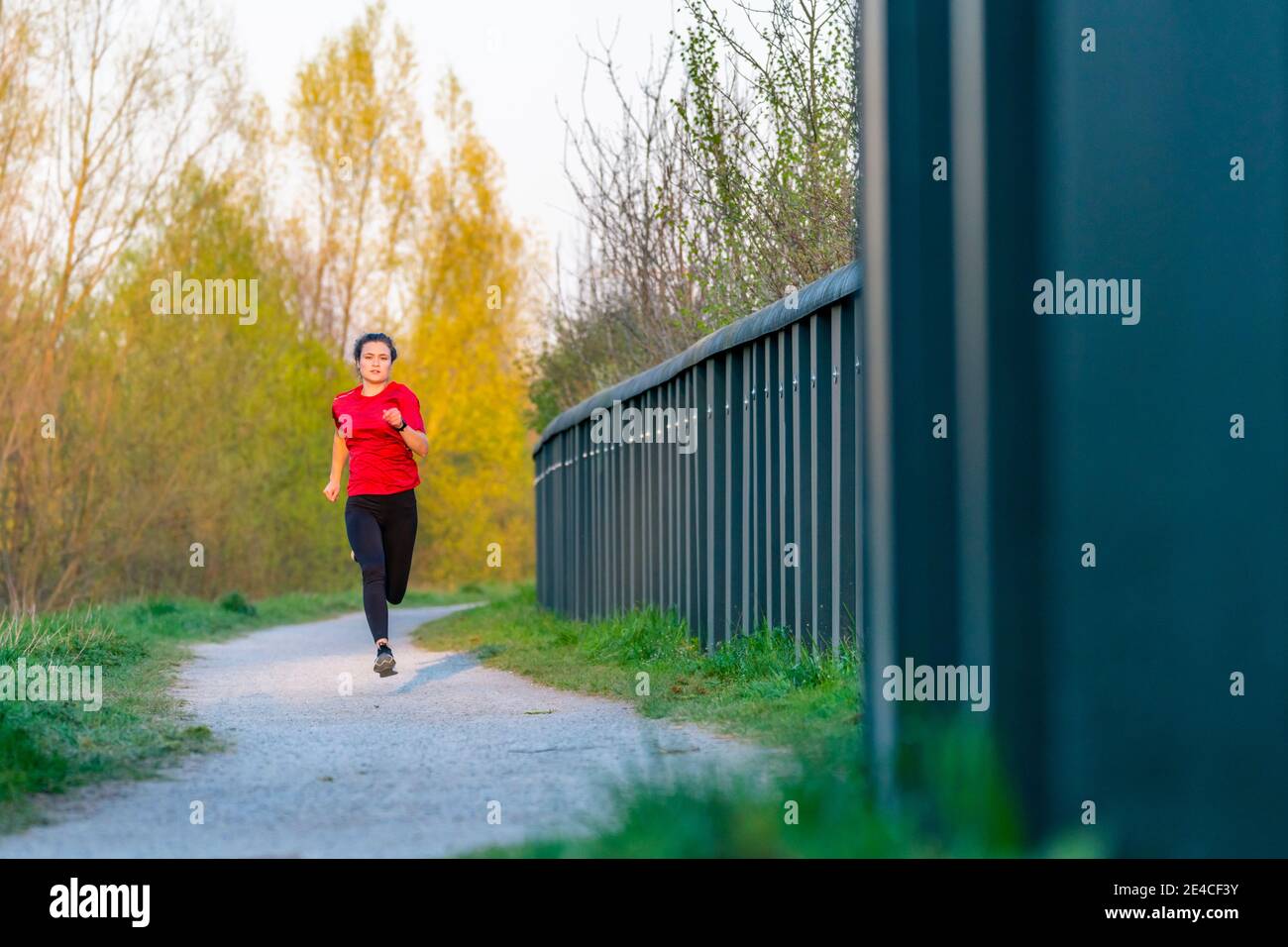 Woman, 23 years, jogging, Remstal, Baden-Württemberg, Germany Stock Photo