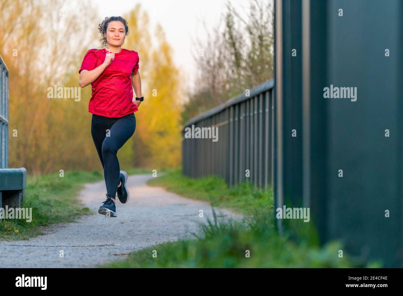 Woman, 23 years, jogging, Remstal, Baden-Württemberg, Germany Stock Photo