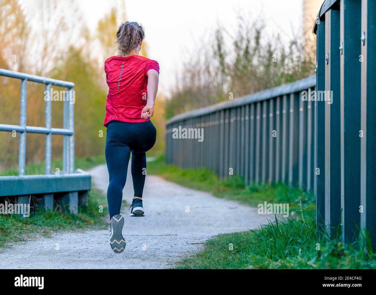 Woman, 23 years, jogging, Remstal, Baden-Württemberg, Germany Stock Photo