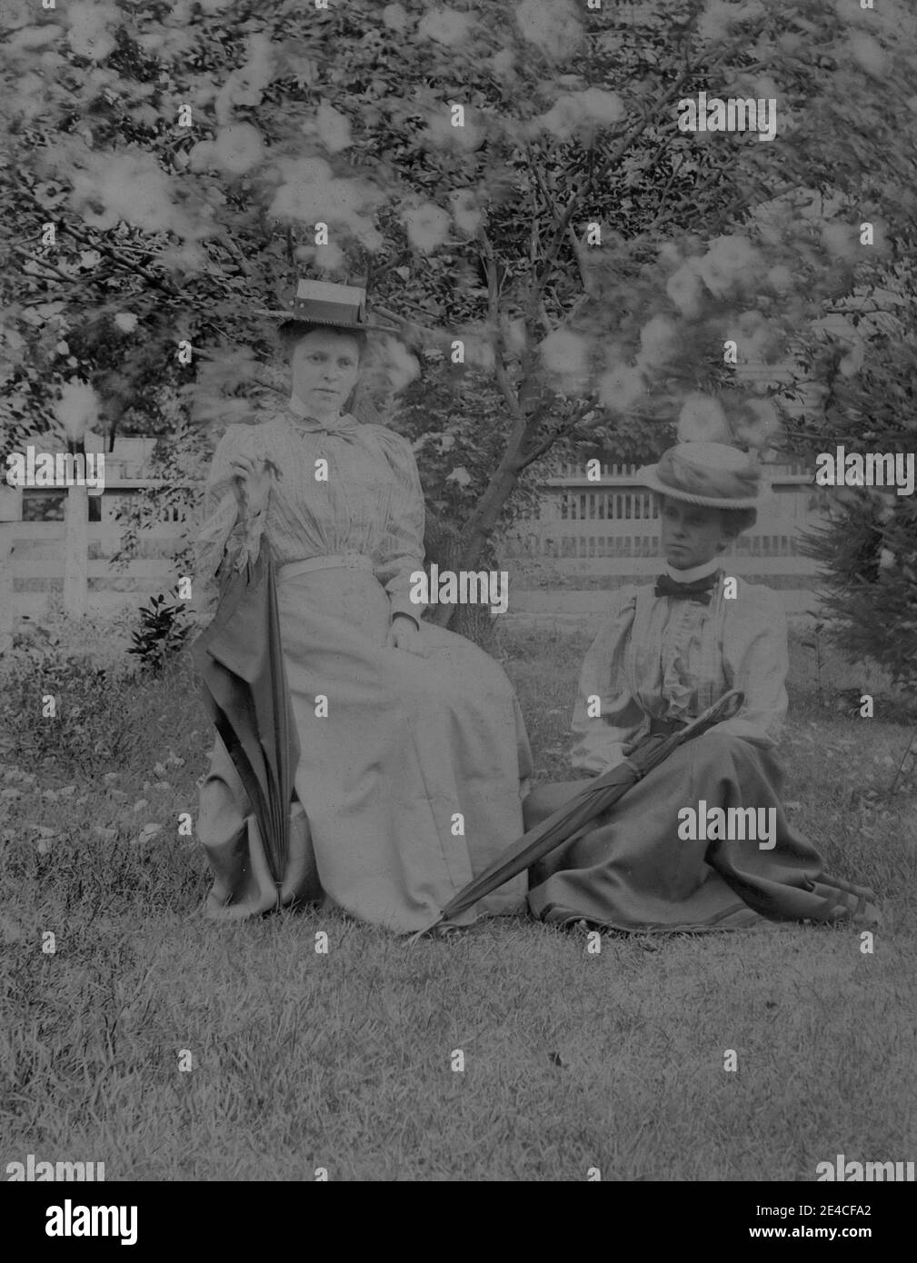 American archive monochrome portrait  of two young women in a garden in front of a blossom tree. One woman is sitting on a chair and one woman is sitting on the grass. The women are holding parasols and wearing skirts and blouses and straw hats. Taken in the late 19th century in Port Byron, NY, USA Stock Photo