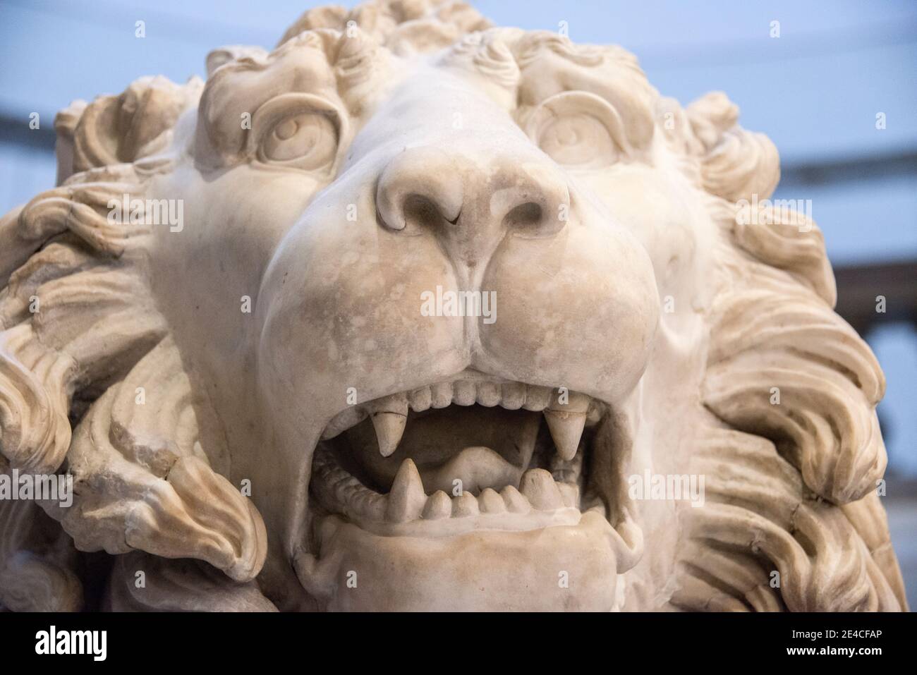 Marble lion head, Naples Museum Stock Photo Alamy