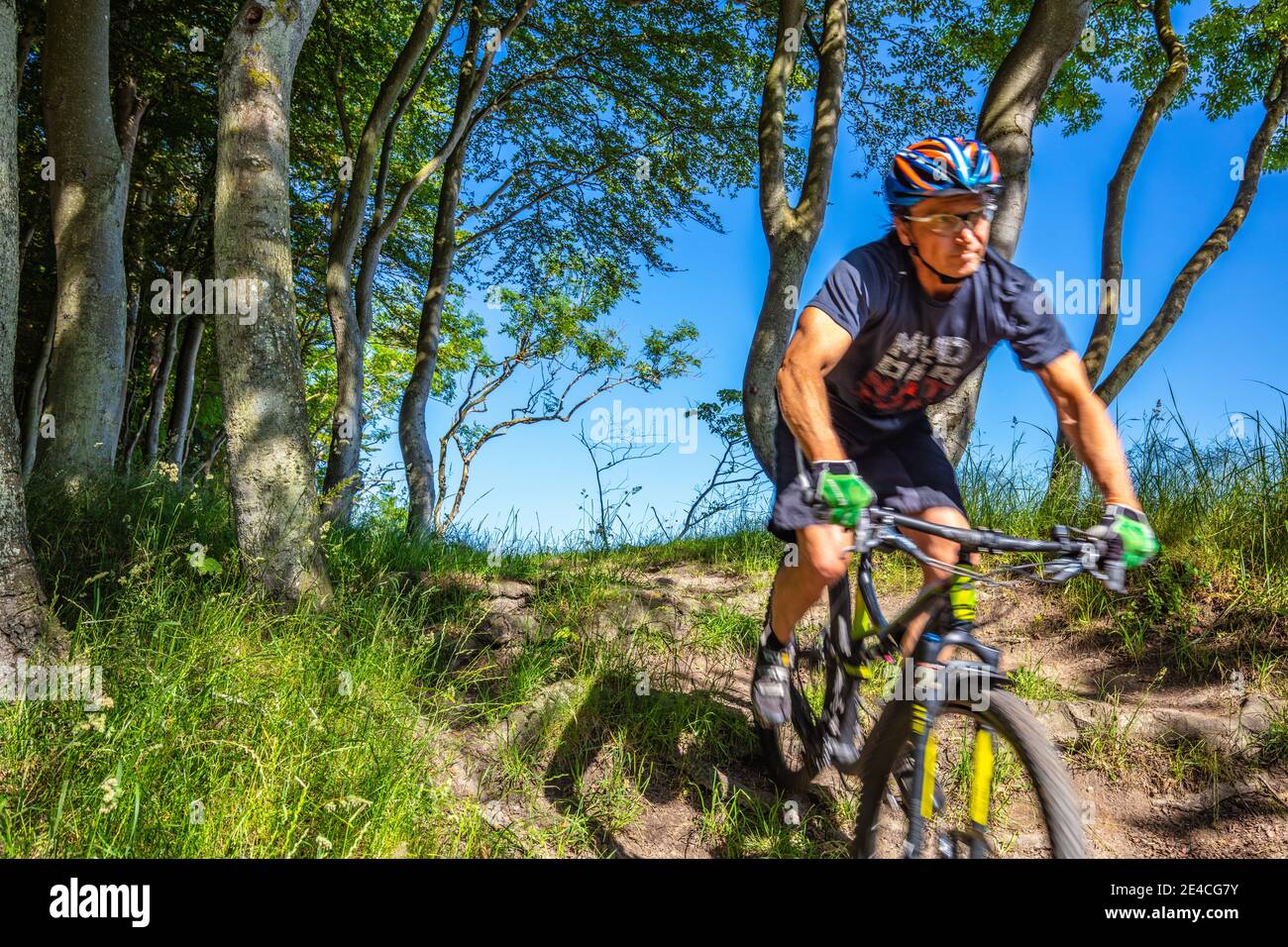 Man 50 plus, rides his mountain bike through the forest in summer. Stock Photo