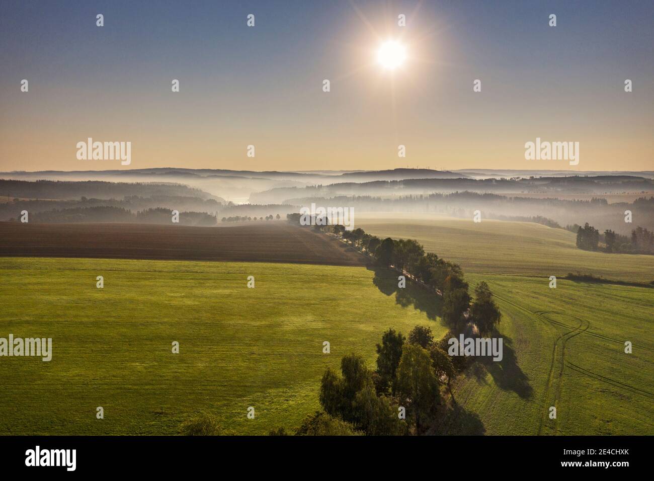 Germany, Thuringia, Remptendorf, landscape, avenue, forests, fields, sun Stock Photo