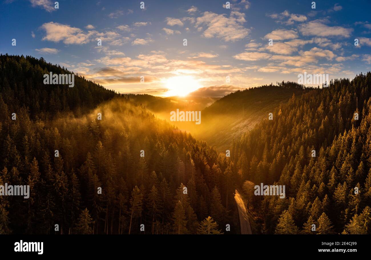 Germany, Thuringia, Großbreitenbach, Allersdorf, landscape, valley, forest, mountains, road, wisps of fog, sunrise, back light, aerial view Stock Photo