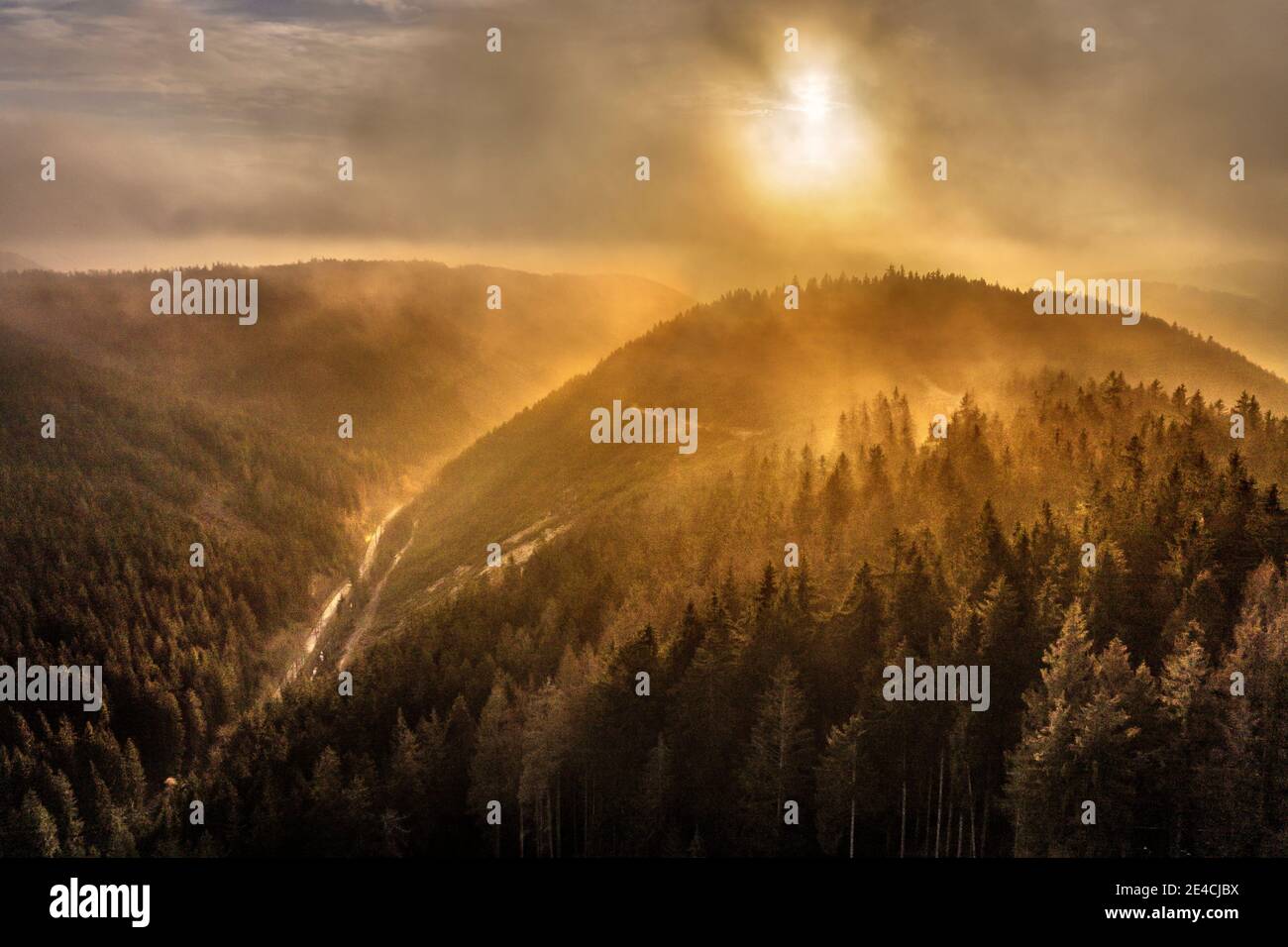 Germany, Thuringia, Großbreitenbach, Allersdorf, valley, forest, mountains, road, wisps of fog, sunrise, back light, aerial view Stock Photo