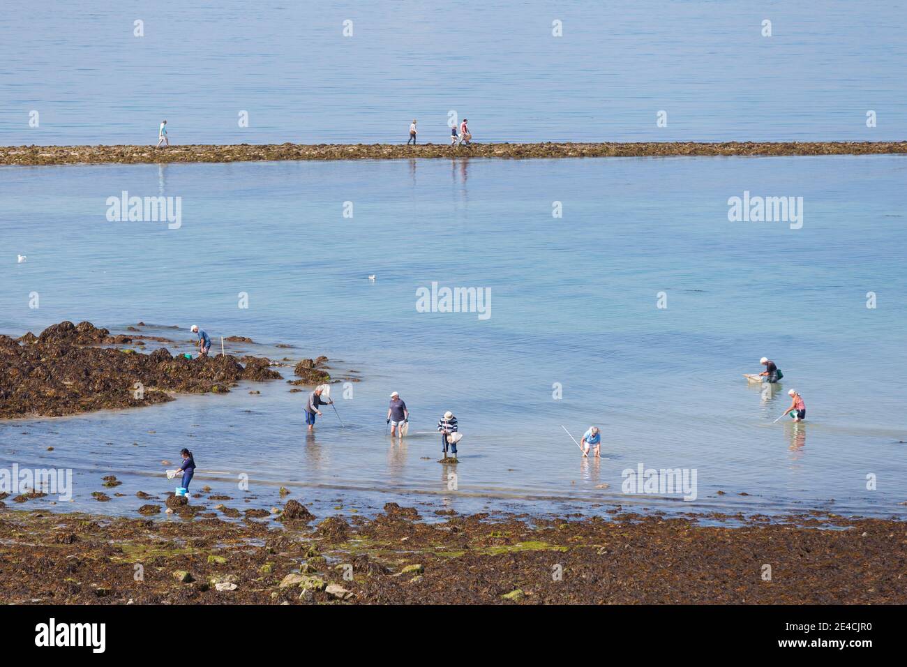 Bay Of St Brieuc Hi res Stock Photography And Images Alamy bay-of-st-brieuc-hi-res-stock-photography-and-images-alamy
