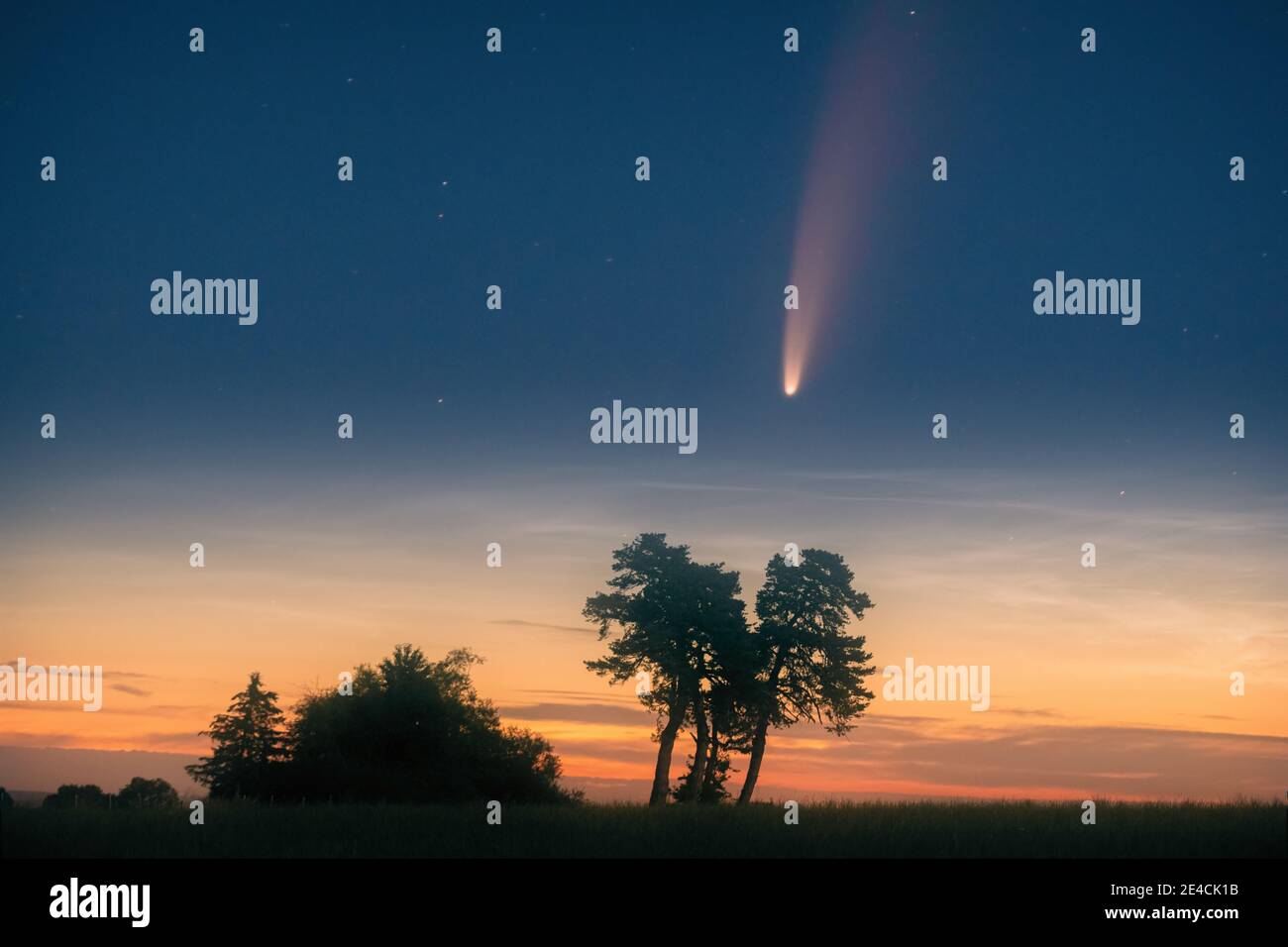 Comet Neowiese in the night sky just before sunrise Stock Photo