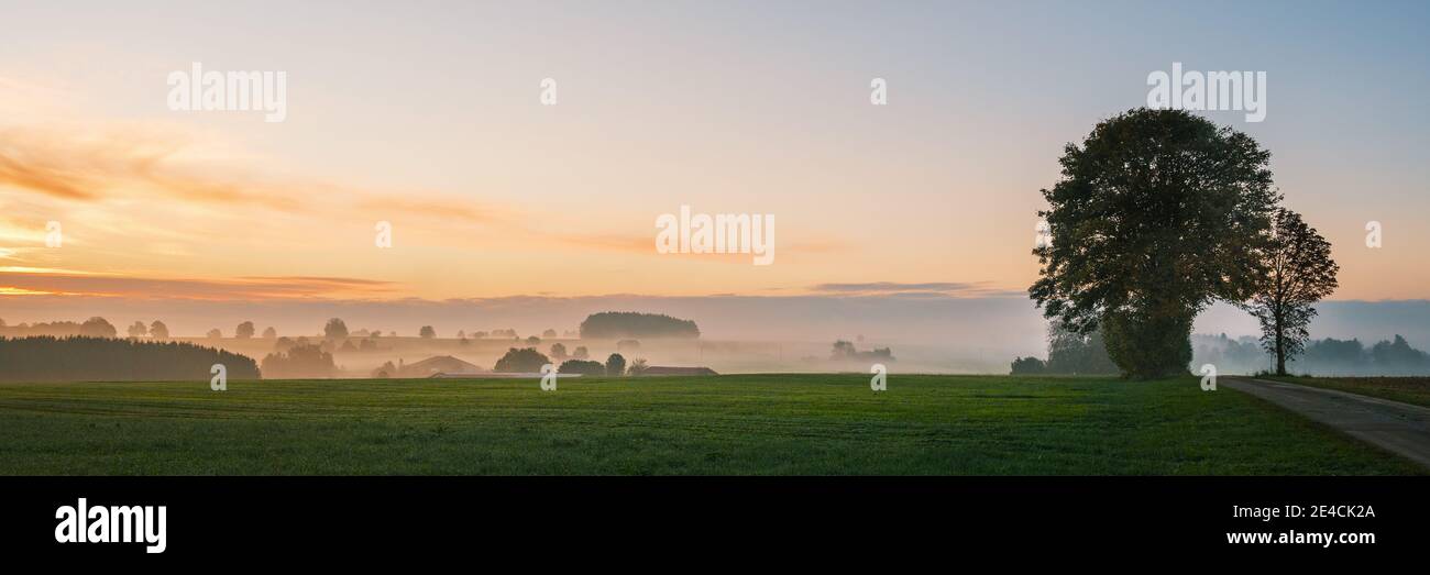 Morning panorama with fog in the Allgäu Stock Photo