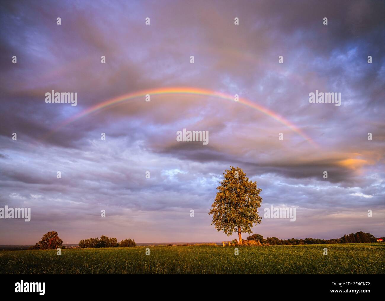 Rainbow over a meadow at sunset Stock Photo