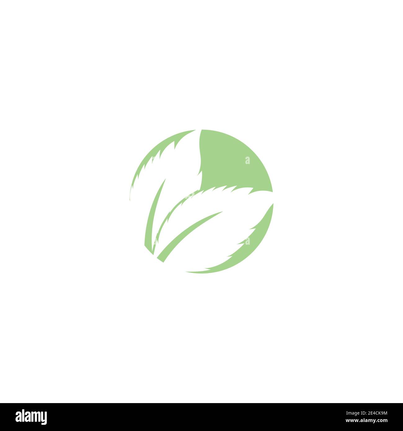 Mint Logo Vector Template. Melissa leaf into the abstract shape