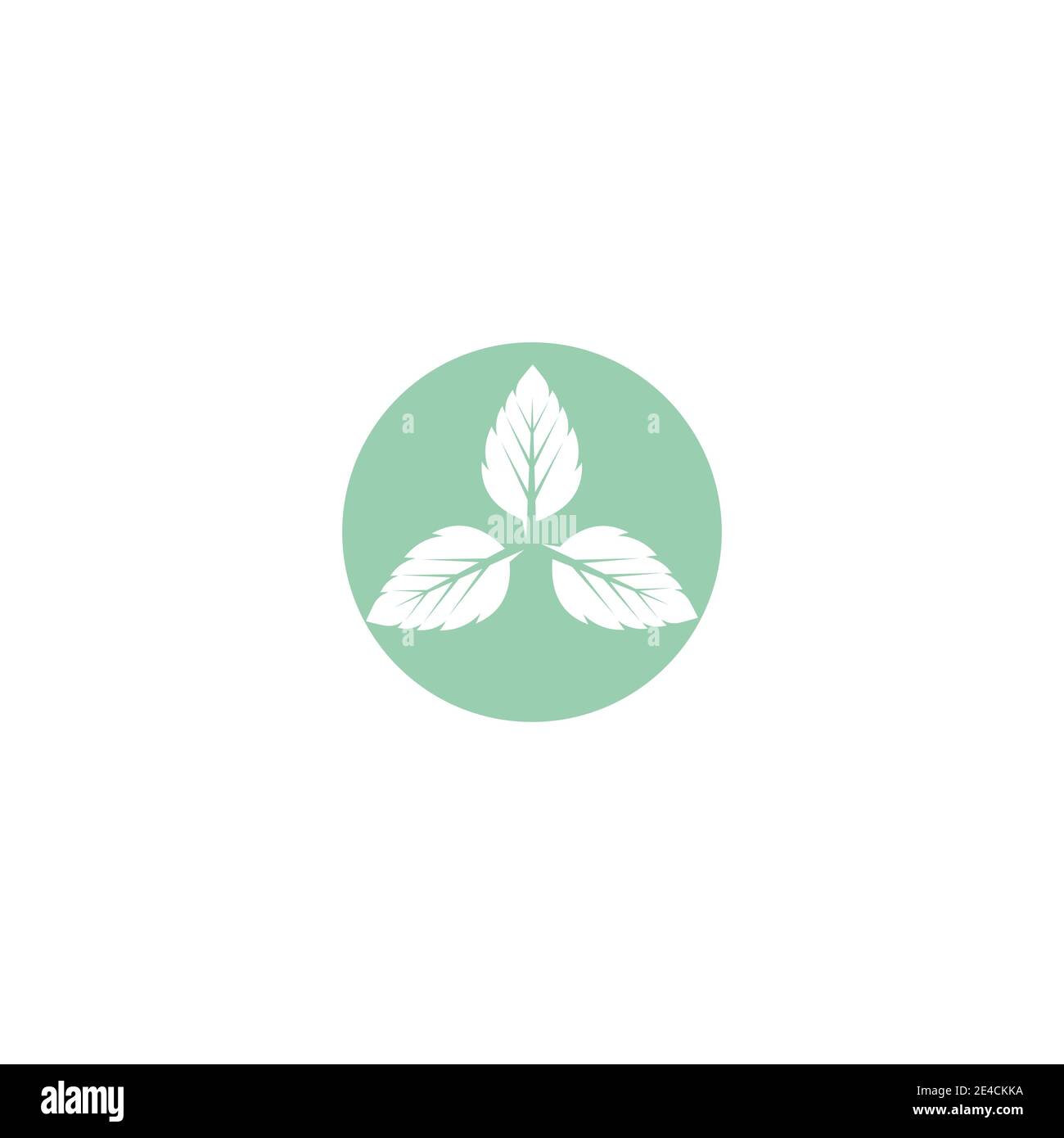 Leaf Mint Logo Template vector symbol nature Stock Vector Image & Art ...