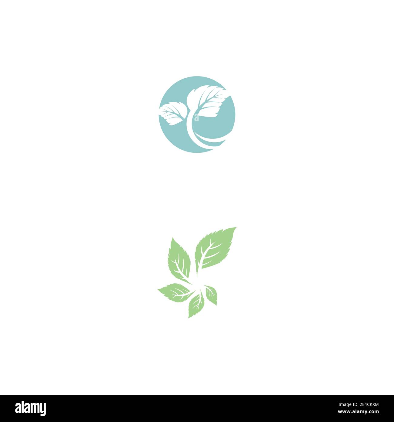 Leaf Mint Logo Template vector symbol nature Stock Vector Image & Art ...