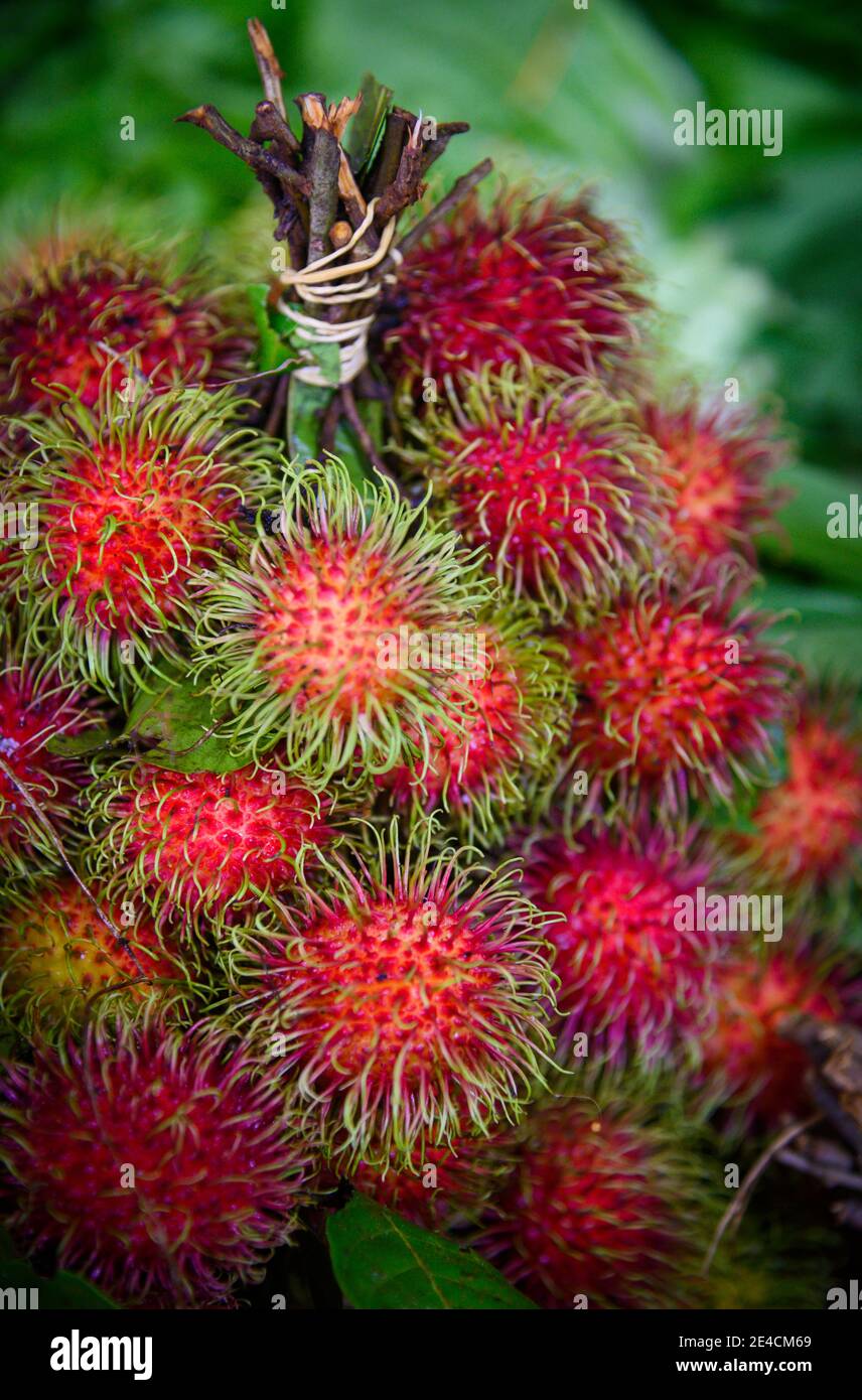 rambutan fruit for sale Stock Photo