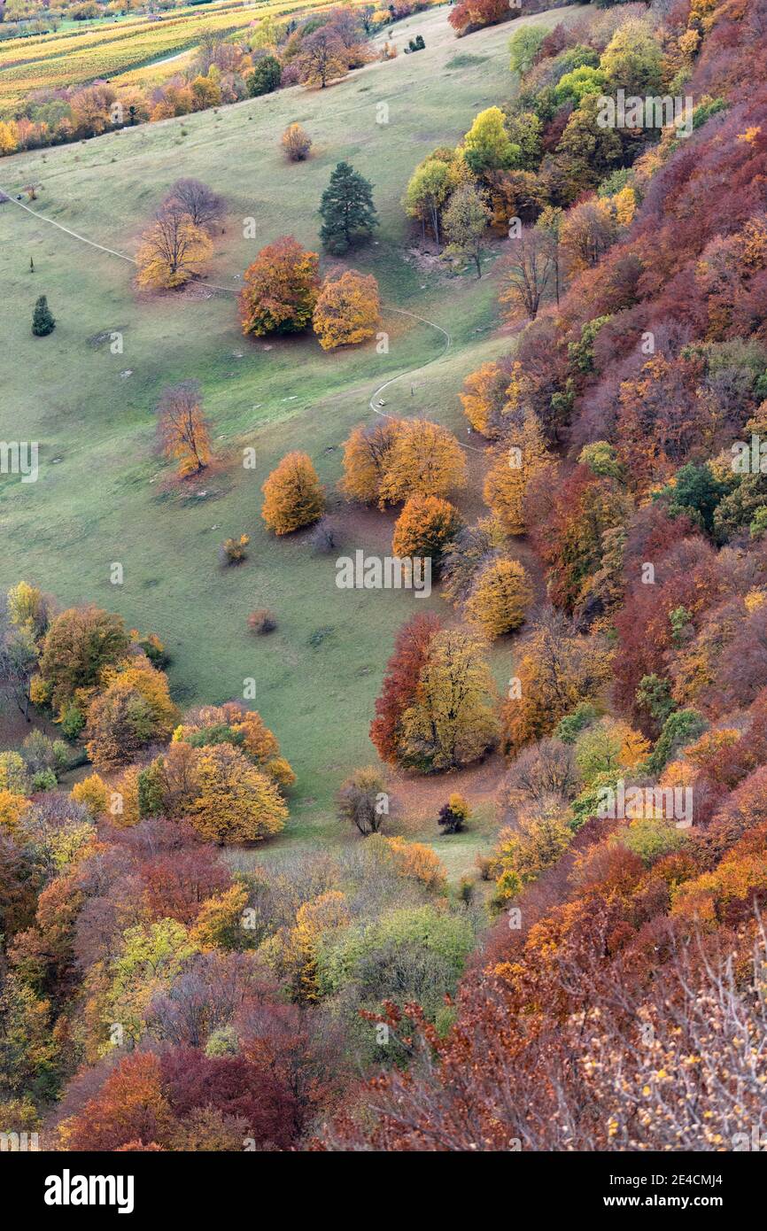 Europe, Germany, Baden-Wuerttemberg, Swabian Alb, Biosphere Area, Neuffen, Neuffener Heide from above in autumn Stock Photo