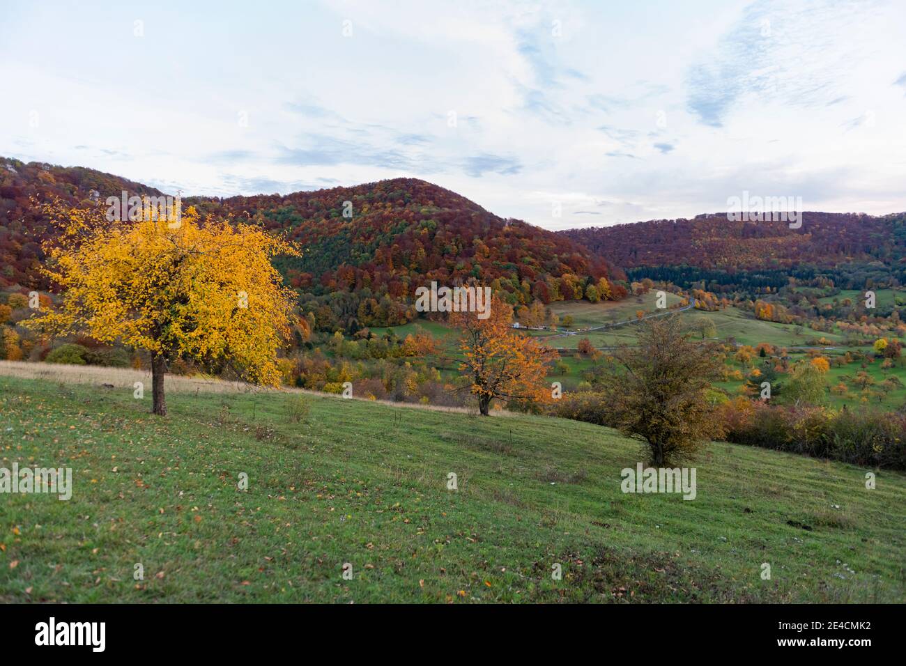Europe, Germany, Baden-Wuerttemberg, Swabian Alb, Biosphere Area, Neuffen, Neuffener Heide, autumn colors, Albtrauf Stock Photo