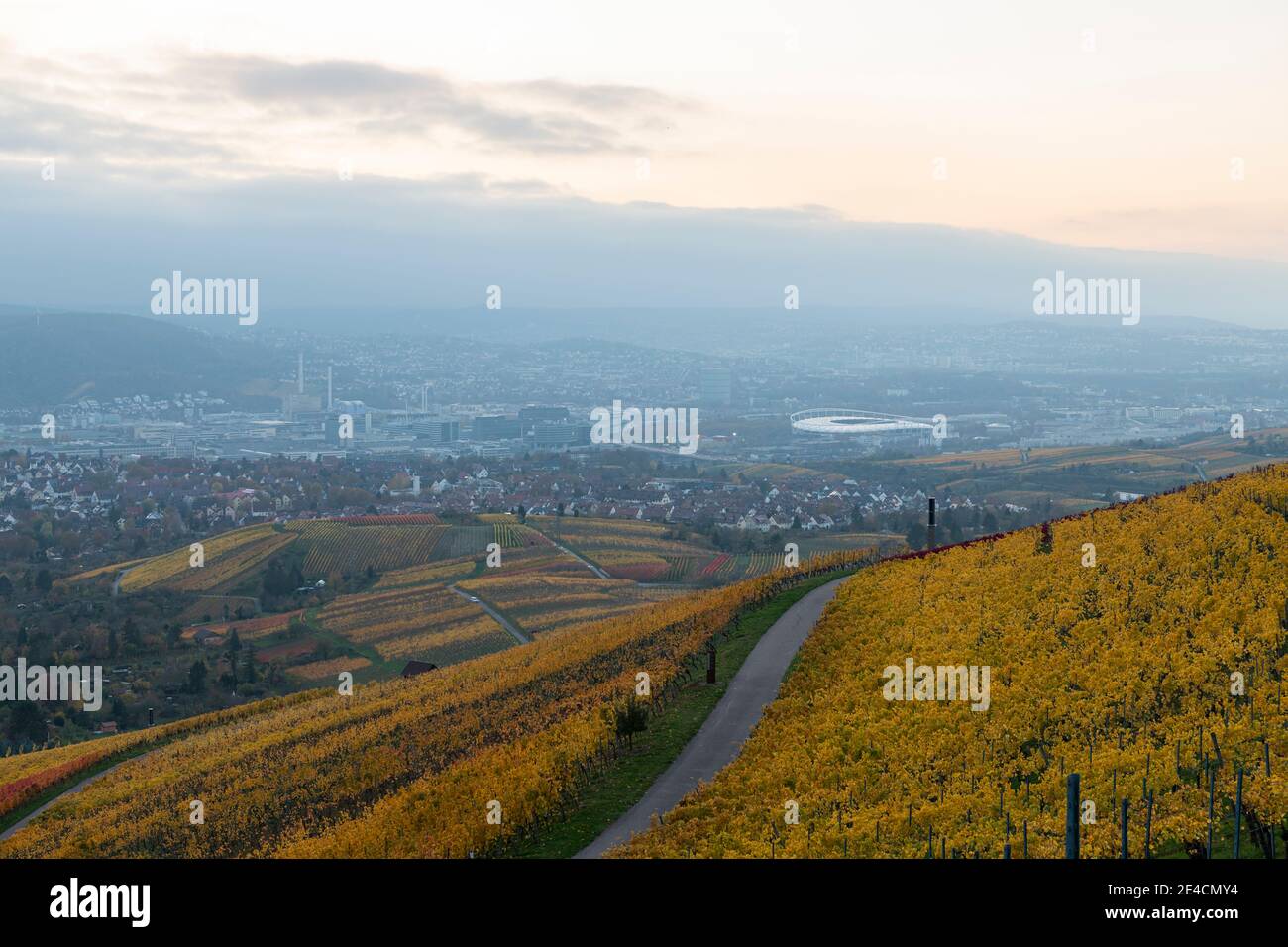 Europe, Germany, Baden-Wuerttemberg, view from Kapplberg to Stuttgart, valley basin, stadium, Daimler, vineyard, autumn colors Stock Photo